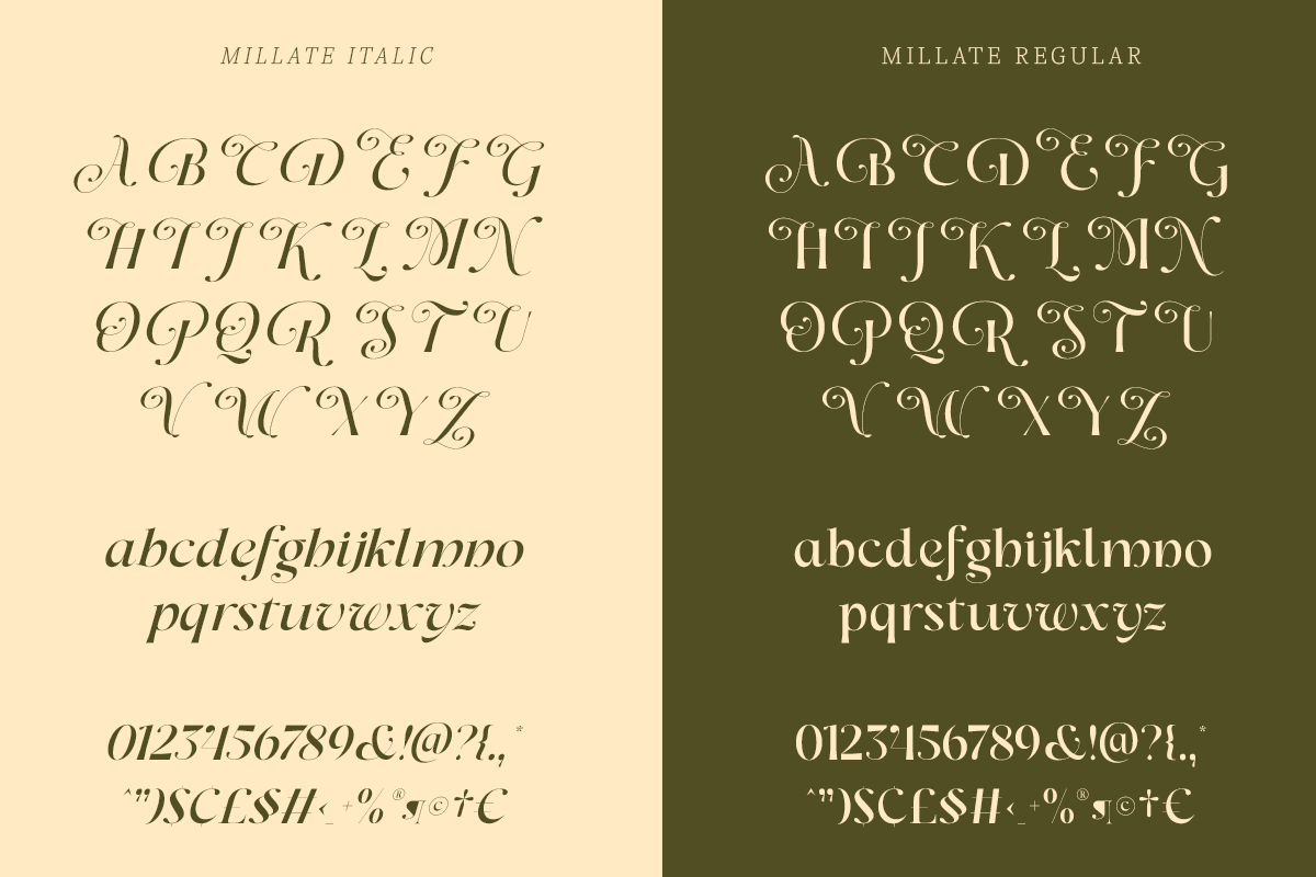 Dh Milate - 16 Beauty Elegant Family, a Serif Font by Dharmas Foundry (Photo 16 of 17)