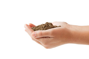 Woman hand isolated and seedling on
