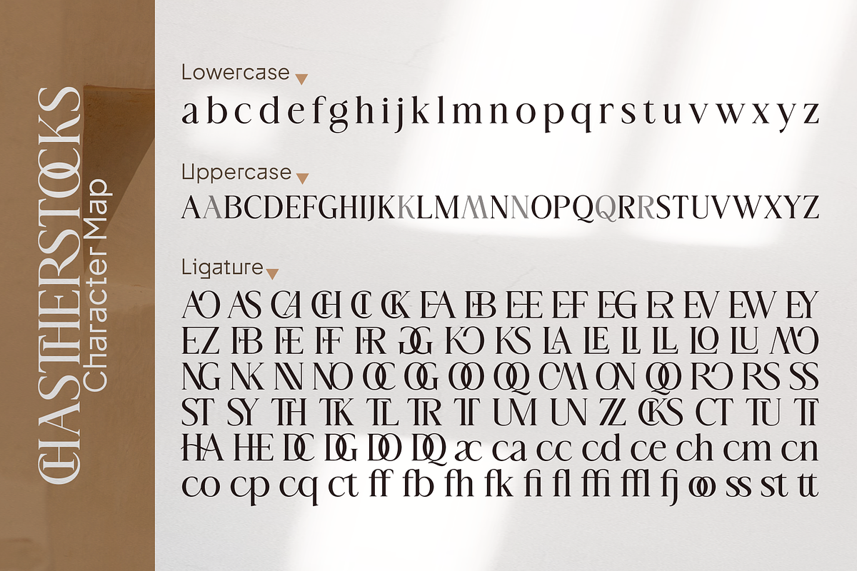 Chastherstocks Stylish Modern Font, a Serif Font by Vampstudio (Photo 12 of 13)