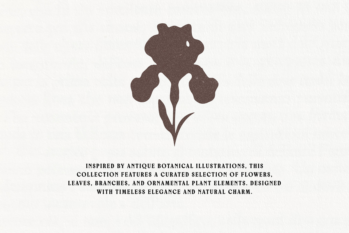 Vintage Botanical: 100 Illustrations, an Object Illustration by Veyla (Photo 2 of 15)