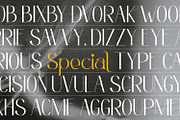 Clean Fragile, a Sans Serif Font by Nathatype (Thumbnail 5 of 10)