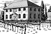 Elegant Vineyard, an Illustration by blue67sign (Thumbnail 2 of 2)