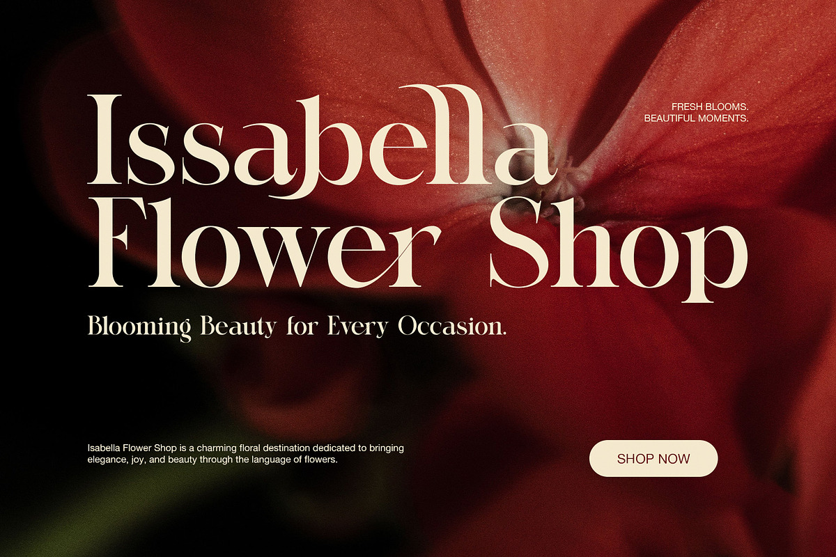 The Rolkin Elegant Serif Font, a Serif Font by Perfectype (Photo 2 of 7)