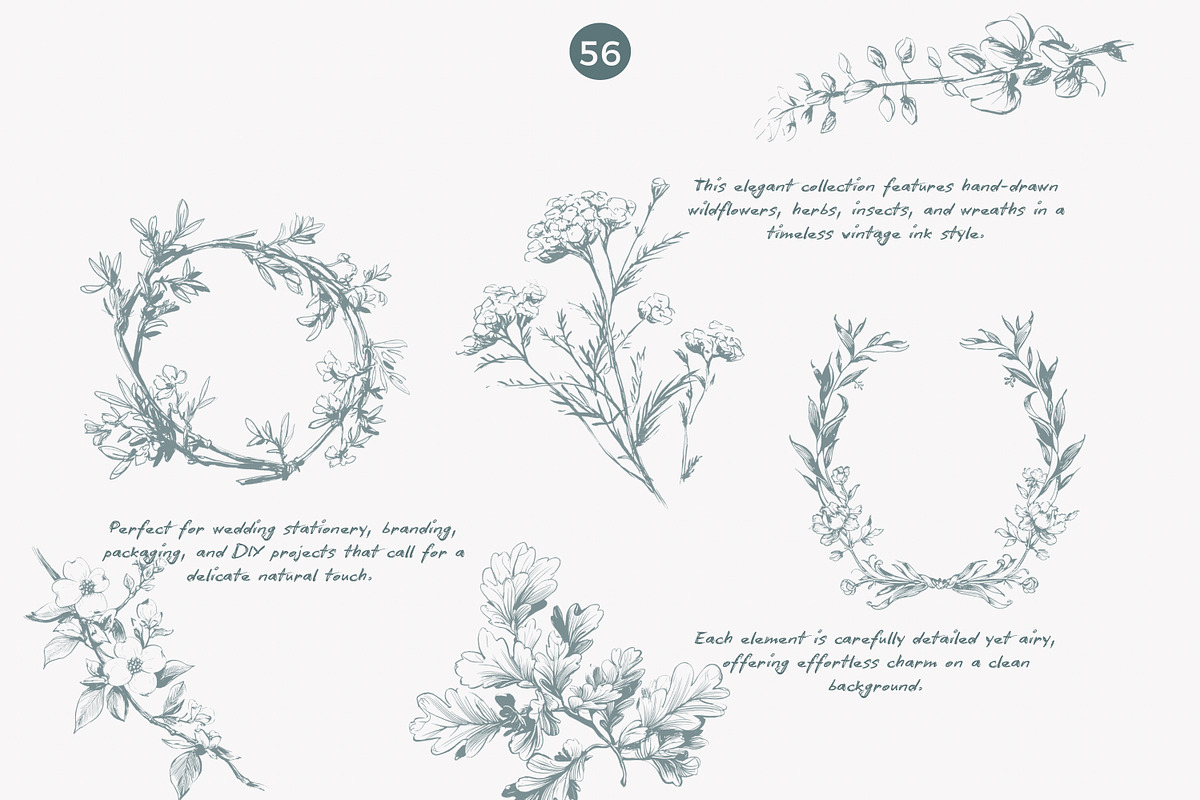 vintage clipart ink illustration set, a Decorative Illustration by Patishop Art (Photo 4 of 9)