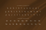Rokina Elegant Serif Font, a Serif Font by Graphicxell (Thumbnail 8 of 8)