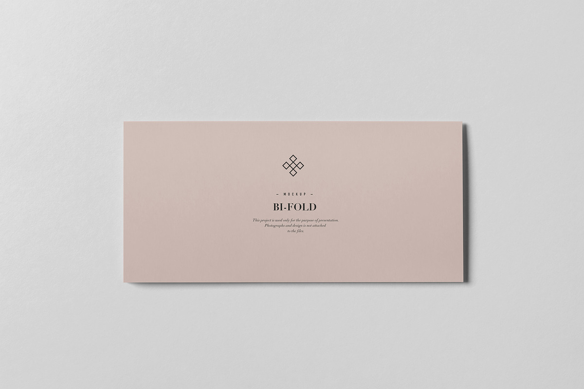 Bi-Fold DL Horizontal Brochure, an Advertising Mockup by Yogurt86 (Photo 10 of 18)