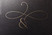 August Roma // luxury serif font, a Serif Font by PeachCreme (Thumbnail 10 of 25)