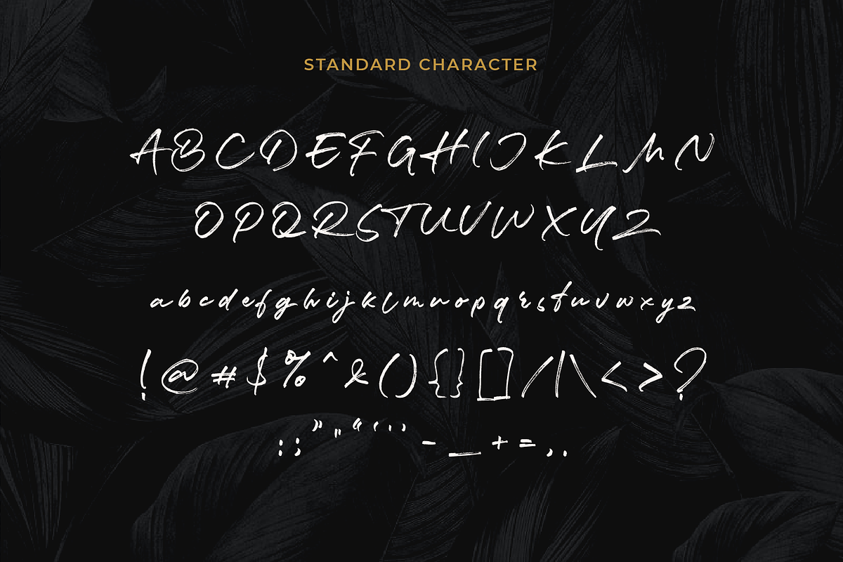 Luxery Classy Handwritten Font, a Script Font by Prestigetype (Photo 11 of 13)