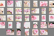 Pink peony stock photo bundle containing pink, peony, and fowers, a Business Photo by Savvy Stock Shop (Thumbnail 2 of 16)