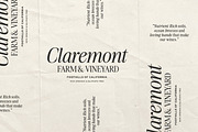 The Very Vogue Serif Family, a Serif Font by Nicky Laatz (Thumbnail 17 of 37)