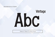 Vintage, a Slab Serif Font by Wow Magic (Thumbnail 2 of 3)