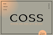 COSS – Modern & Stylish Sans, a Sans Serif Font by Local Desk Designstudio (Thumbnail 22 of 22)