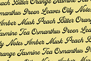 ED Forheim - Vintage Script, a Script Font by Emyself Design (Thumbnail 5 of 12)