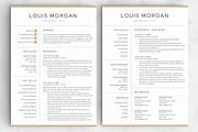 Resume/CV - The Louis, a Resume Template by CreativeLandStudio (Thumbnail 4 of 10)