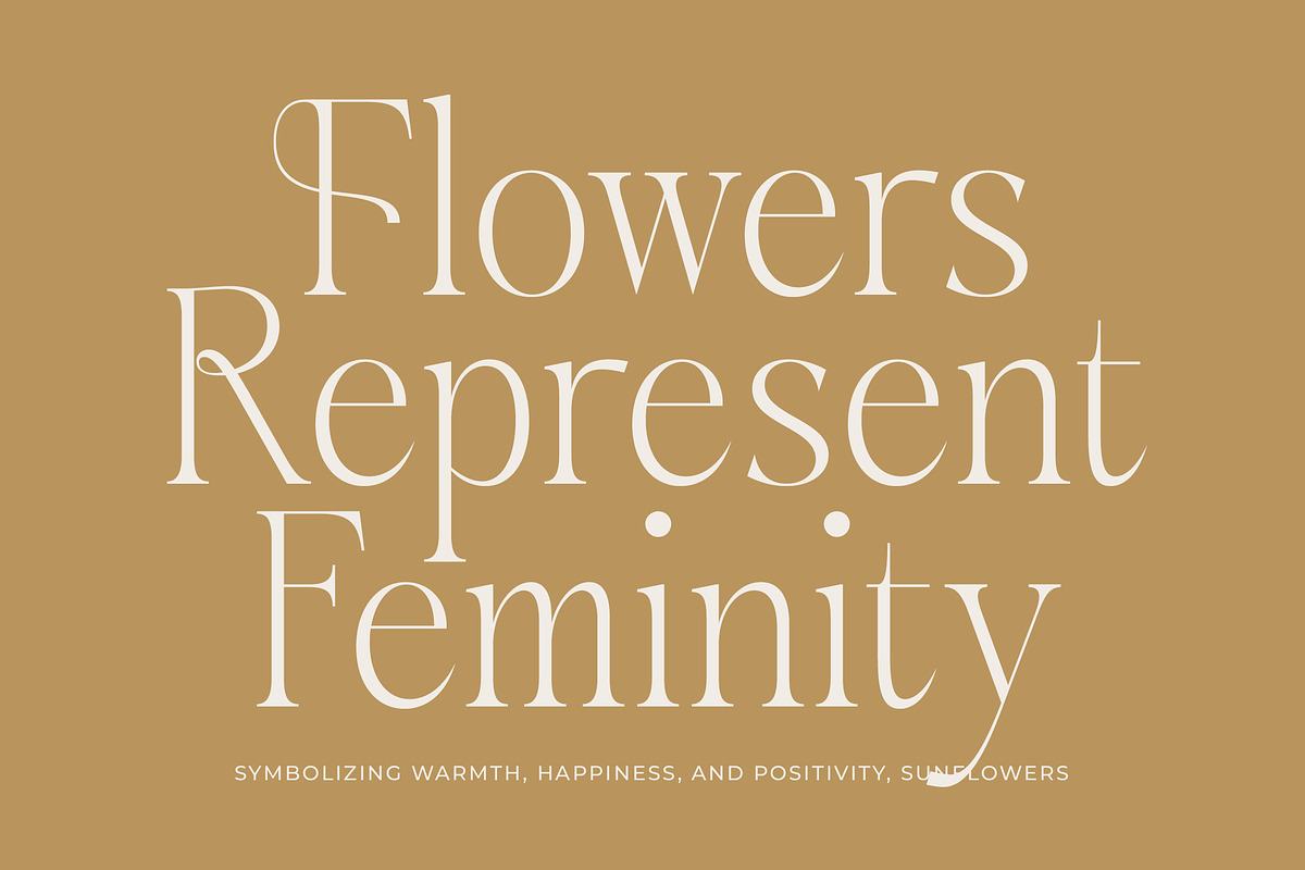 Aska Modern Elegant Serif Font, a Serif Font by timelesstype.co (Photo 9 of 20)