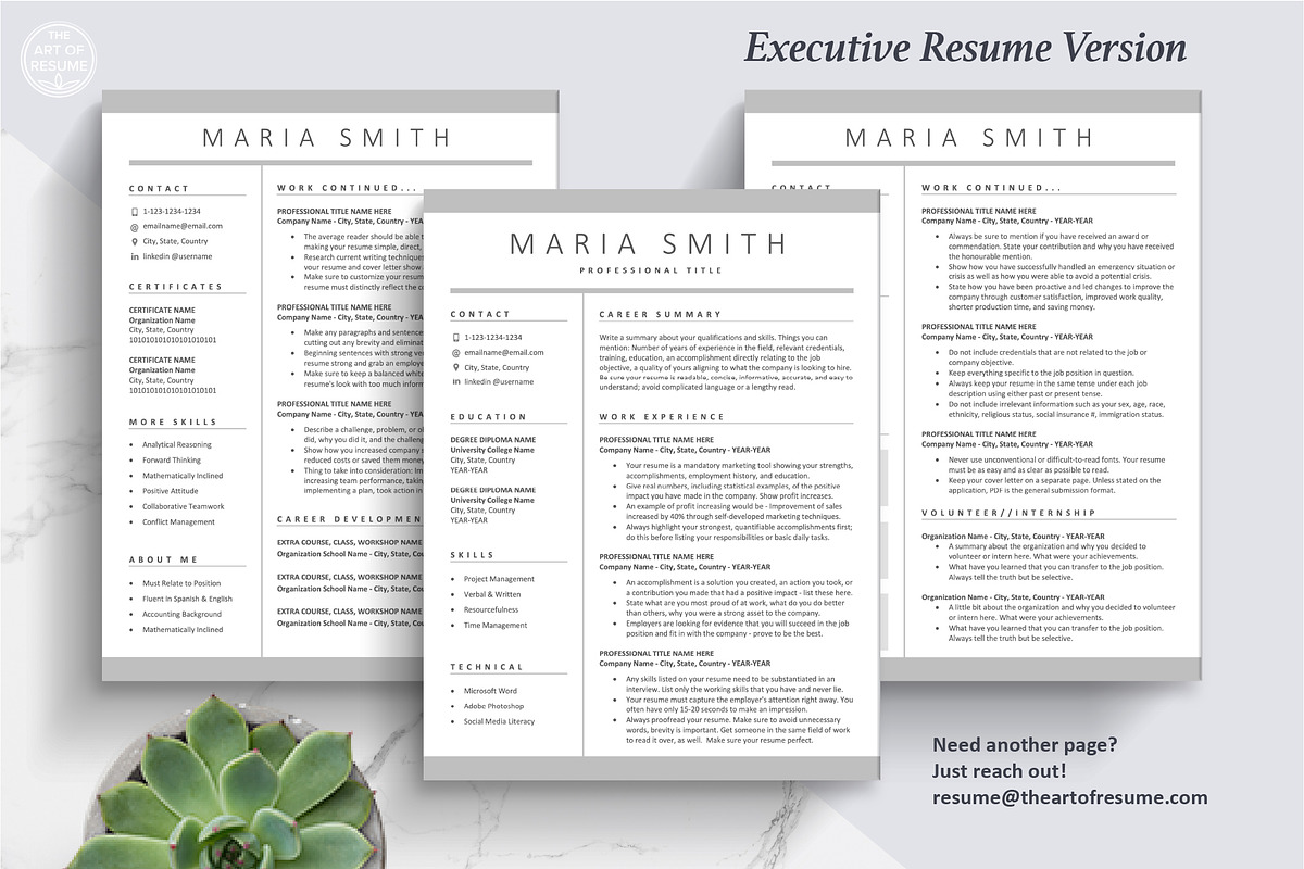 Executive Resume CV Template Formats, a Resume Template by The Art of Resume (Photo 5 of 8)