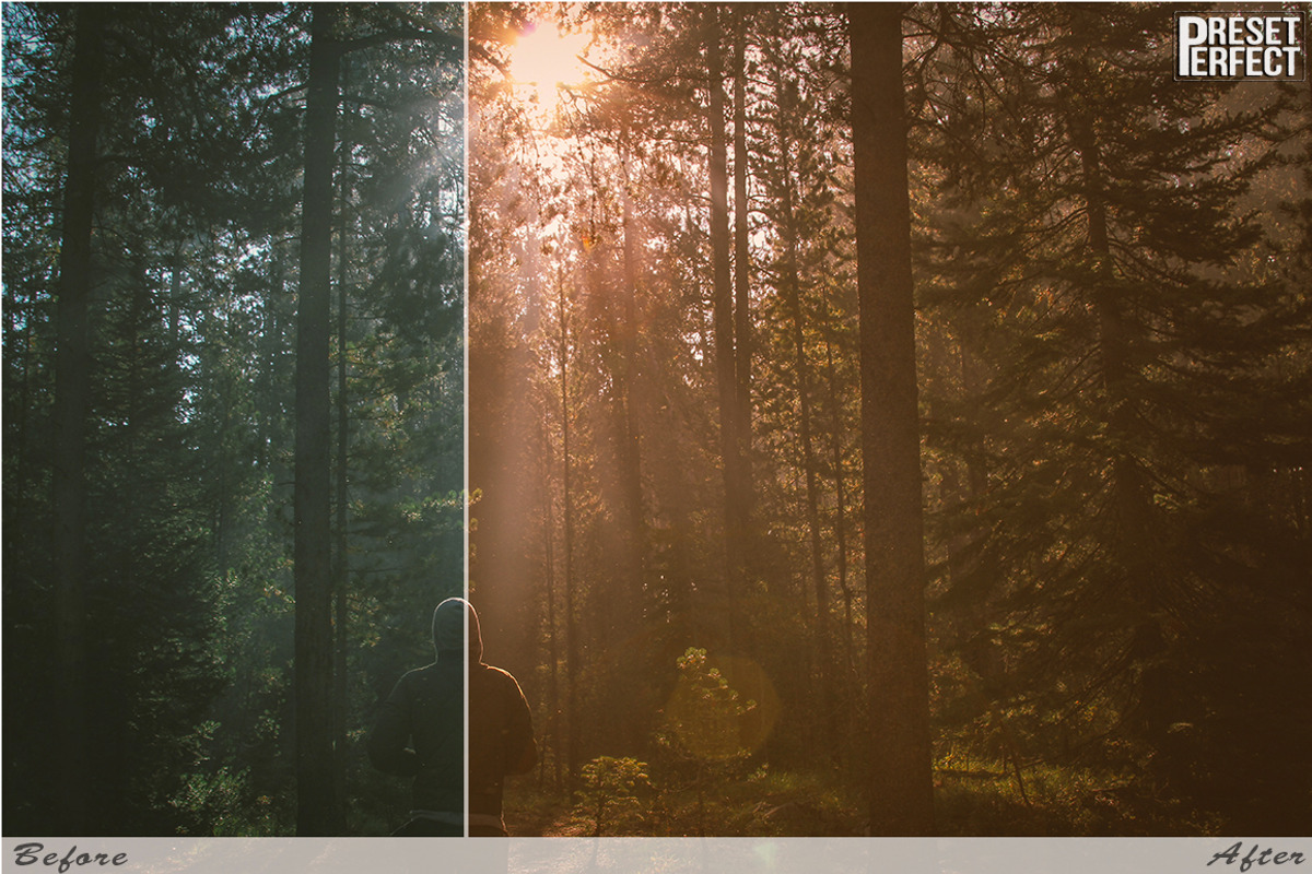 Autumn Bloom Lightroom Presets, an Action Add-On by Preset Perfect (Photo 5 of 5)