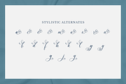 Shineblue - Romantic Calligraphy, a Script Font by RockboyStd (Thumbnail 10 of 12)
