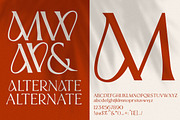 Modern Sensation | Pair Font, a Handwritten Font by typeline studio (Thumbnail 4 of 14)