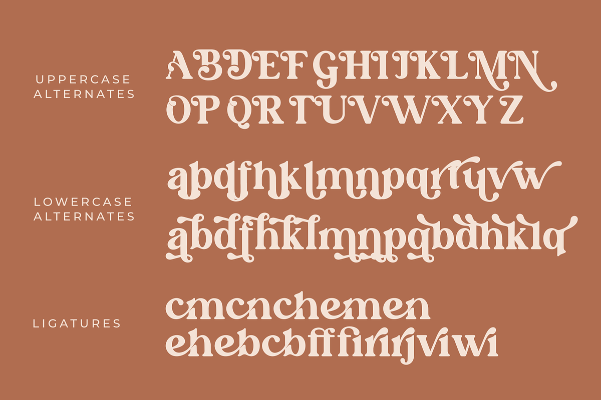 Millaris, a Serif Font by zeenesia (Photo 12 of 12)