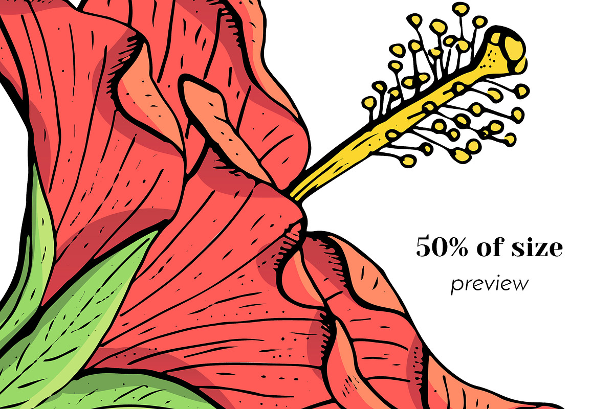 Hibiscus Flower Ink Line Art Drawing, an Object Graphic by Rose Design (Photo 4 of 11)