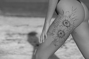 Sunflower Stamps for Procreate, a Brush Add-On by CaraulanStore (Thumbnail 8 of 11)