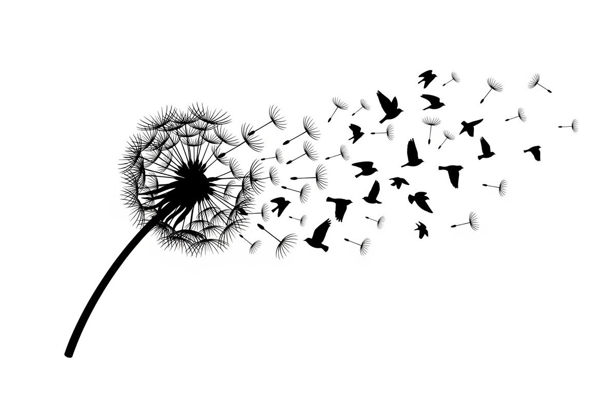 Dandelion Blow Silhouette Bundle, an Illustration by yasushie (Photo 26 of 31)