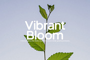 Green Apple - Vintage Sans Serif, a Sans Serif Font by Schrifted Type (Thumbnail 5 of 8)