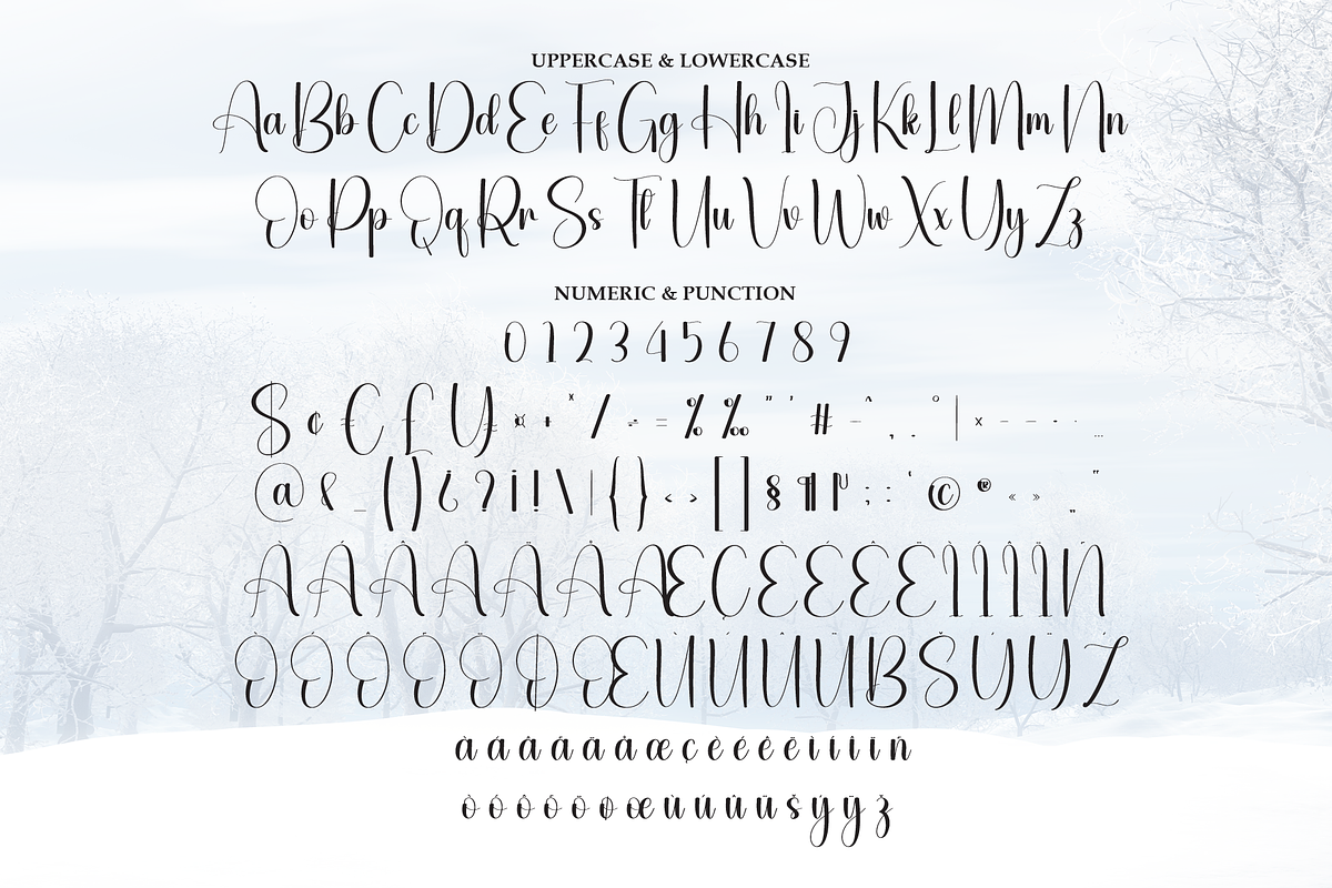 Winterday | Script Font, a Handwritten Font by Scratchones (Photo 7 of 9)