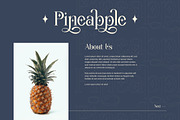 Wondernesia Nostalgic & Modern Serif, a Serif Font by Lettertype Studio (Thumbnail 11 of 15)