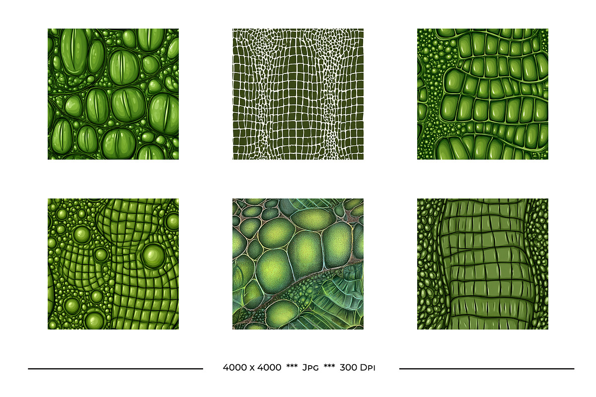 Crocodile or Alligator Skin Patterns, a Pattern Graphic by karenfoleyphoto (Photo 4 of 9)