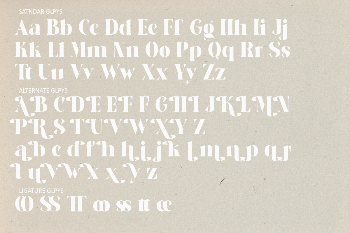 Rabert Conan, a Serif Font by Muksal Creative (Photo 8 of 9)