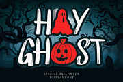 Hay Ghost, a Serif Font by Letterafa Studio (Thumbnail 1 of 8)