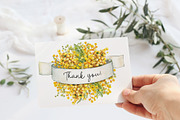 Spring mimosa, watercolor flowers, an Illustration by Artmanata (Thumbnail 16 of 16)