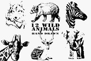 12 hand drawn wild animals, an Animal Illustration by AnastasiyaOleynik (Thumbnail 1 of 10)