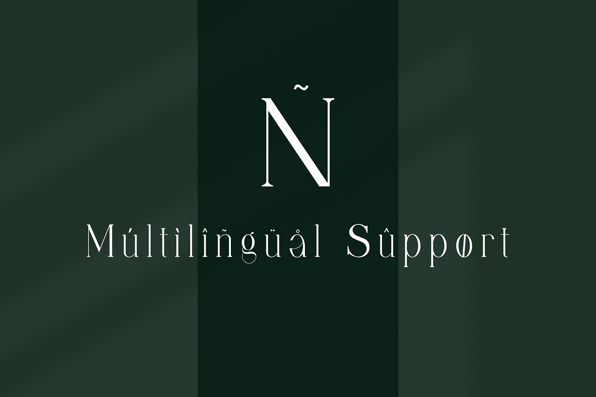 Milenial Serif Typeface, a Serif Font by Alfinart (Photo 7 of 10)