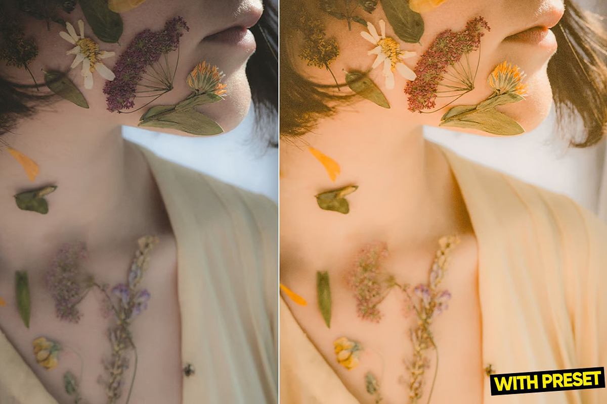Sunny Vibe Presets for Lightroom, a Preset Add-On by Hubzway (Photo 2 of 5)
