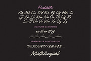 Pinklatte Handwritten Brush Font, a Script Font by Typebae (Thumbnail 7 of 7)