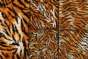 Realistic Tiger Fur Print Texture, a Pattern Graphic by Artonix (Thumbnail 5 of 5)
