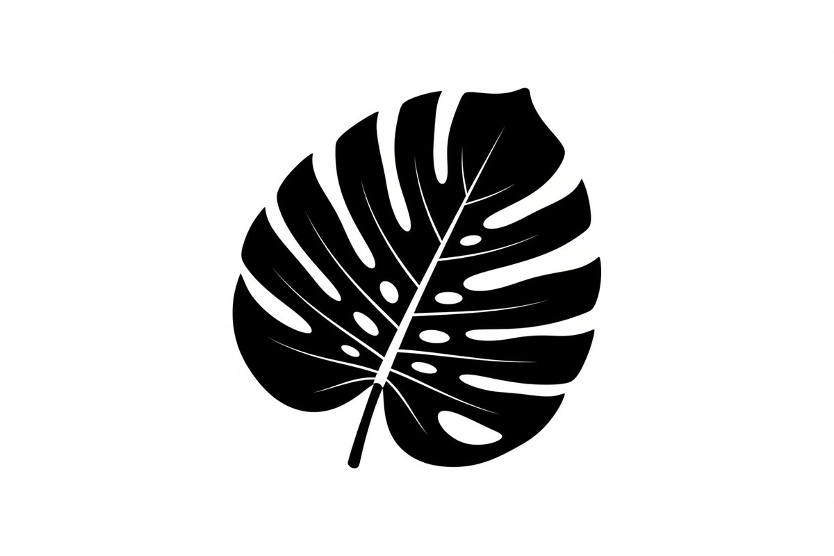 Monstera Leaf Silhouette Bundle, an Illustration by yasushie (Photo 17 of 31)