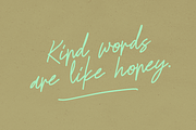 Godwit Font Family with Extras, a Serif Font by Yasir Ekinci (Thumbnail 14 of 25)