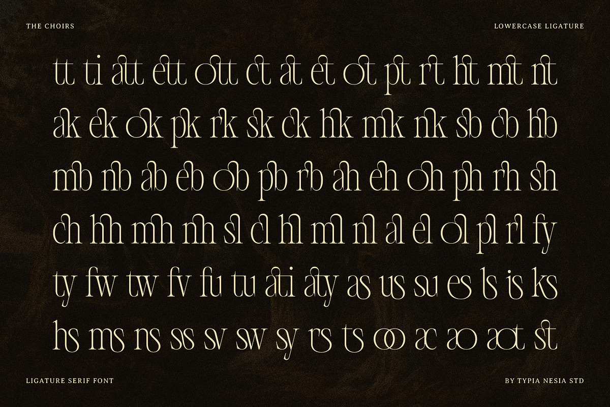 The Choirs - Beauty Elegant Ligature, a Serif Font by Typia Nesia (Photo 16 of 16)