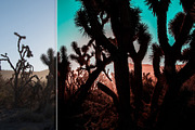 Orange & Teal Lightroom Presets, an Action Add-On by PhotoMarket (Thumbnail 9 of 42)