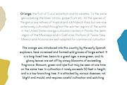 Paper Orange Font Family, a Sans Serif Font by Emma Make (Thumbnail 6 of 6)