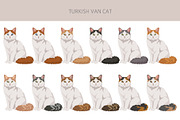 Turkish Van cat clip art, an Animal Illustration by pet design shop (Thumbnail 3 of 5)