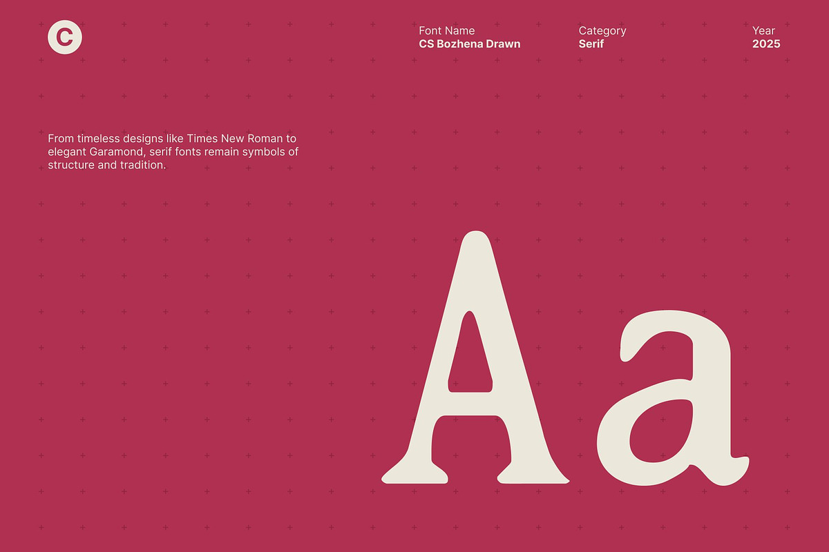 CS Bozhena Drawn, a Serif Font by Craft Supply Co. (Photo 4 of 8)