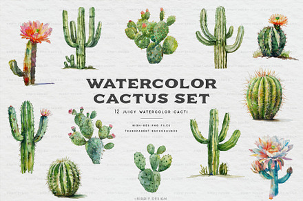 Watercolor Cactus Set, an Object Illustration by BirDIY Design