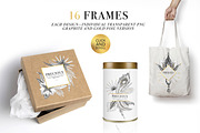 Precious feathers and diamonds, an Illustration by AnastasiaFears (Thumbnail 6 of 10)