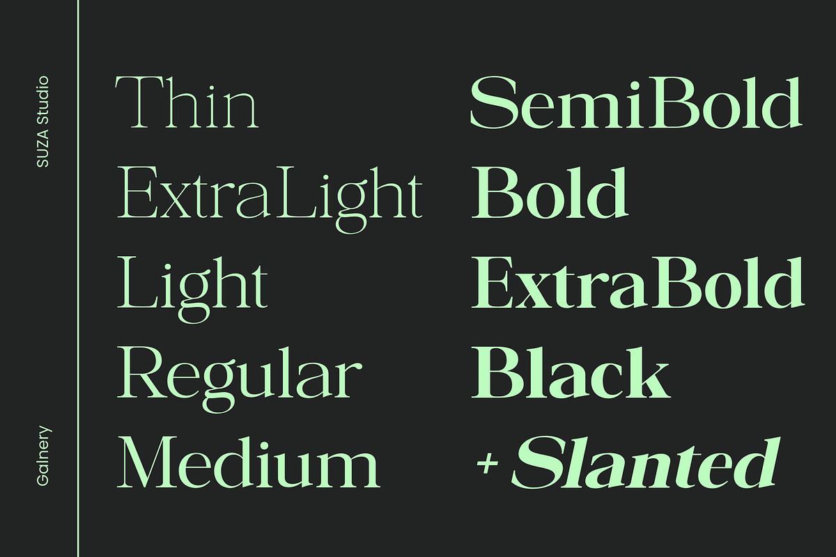 Galnery, a Serif Font by Suza Studio (Photo 2 of 13)