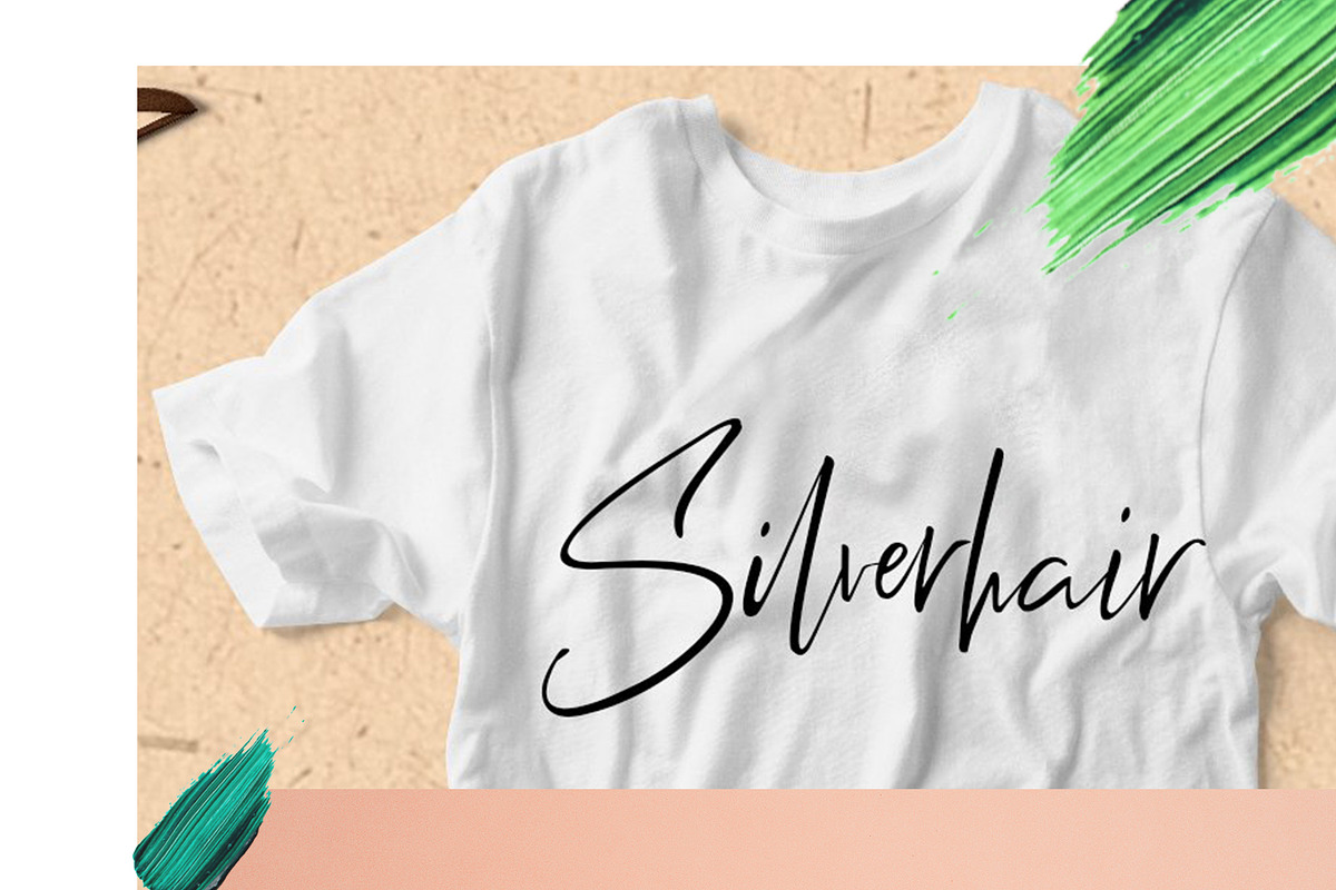 Relion Signature Script Font preview 6